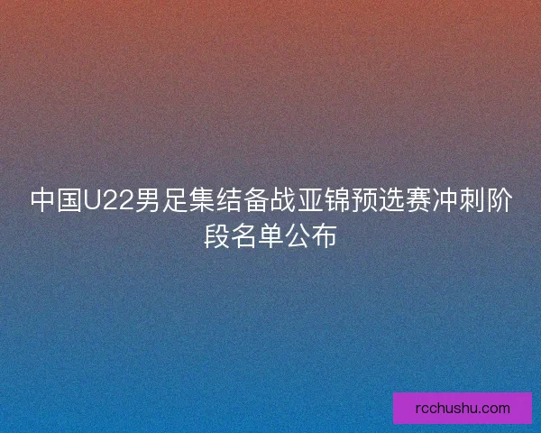 中国U22男足集结备战亚锦预选赛冲刺阶段名单公布